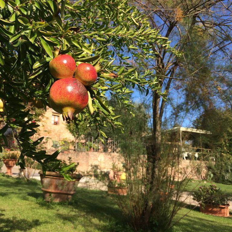 Podere Il Pero Alojamento de Acomodação e Pequeno-almoço Siena